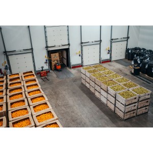 Overzicht foto koelruimte Nedcool