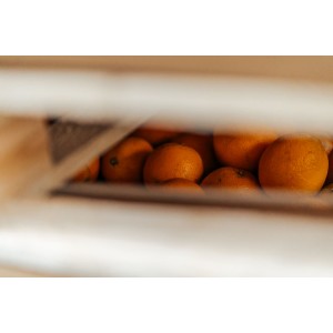 Pomelo opslag