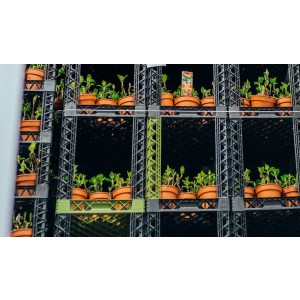 Geconditioneerde opslag planten