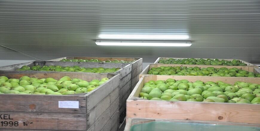 ULO bewaring van fruit