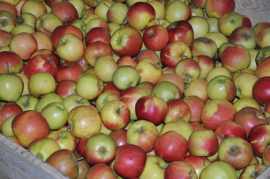 ULO bewaring fruit