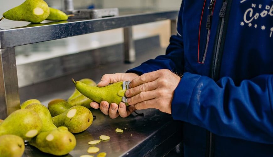 Fruitkoeling fruit