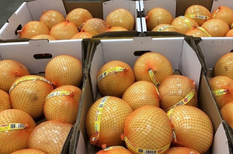 Pomelo's