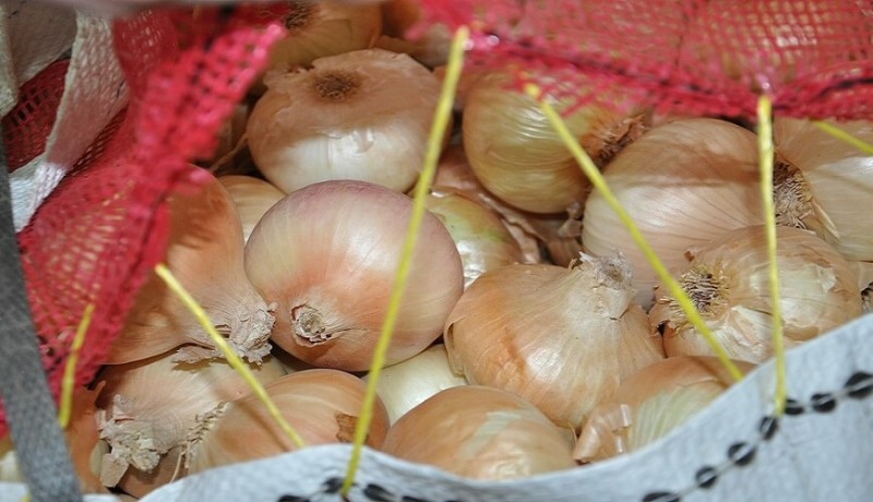 Uien